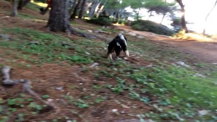 Promenade aux Iles de Lerins