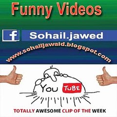 Funny Fight  Mouse vs Cat