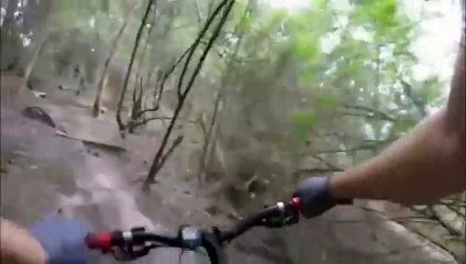 Cradle Park Trail Riding Epic Route