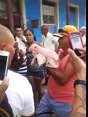 El puerco con cara de mono un animal sorprendente