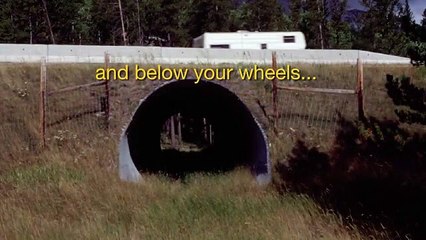 Situam-se na Holanda e parecem pontes perceberes mas quando vires a sua função!!!