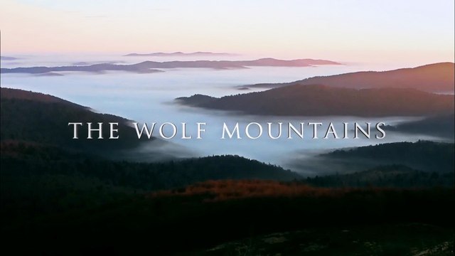 Волчьи горы / The Wolf Mountains 2013