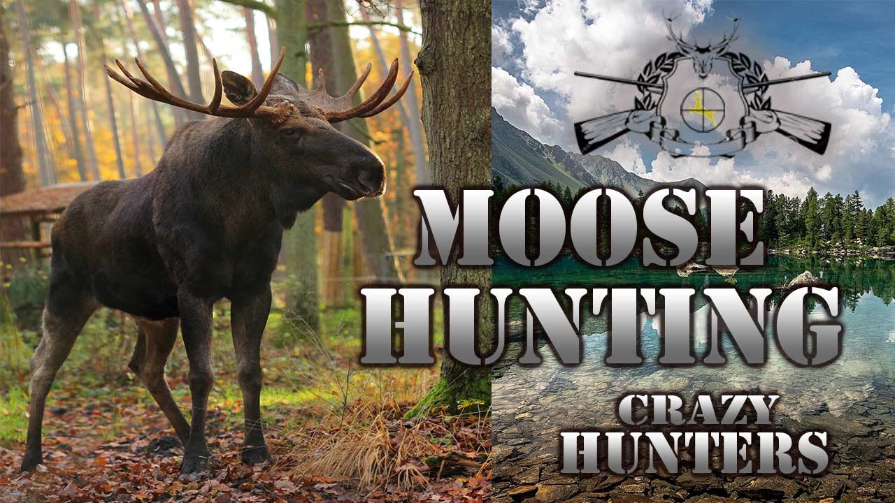 Moose Hunting # 002 - Geyik Avı - [►]