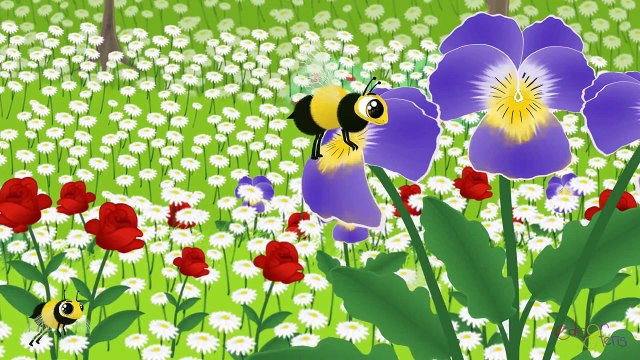 Arı Vız Vız Vız | Edis ile Feris | Bebek Şarkıları