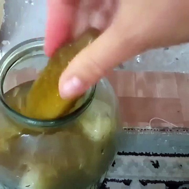 Pomerean eating pickle
