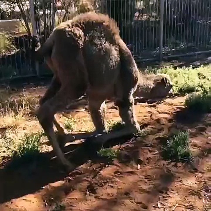 After leg day
