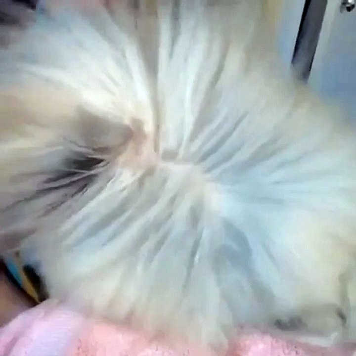 I'm Fabulous