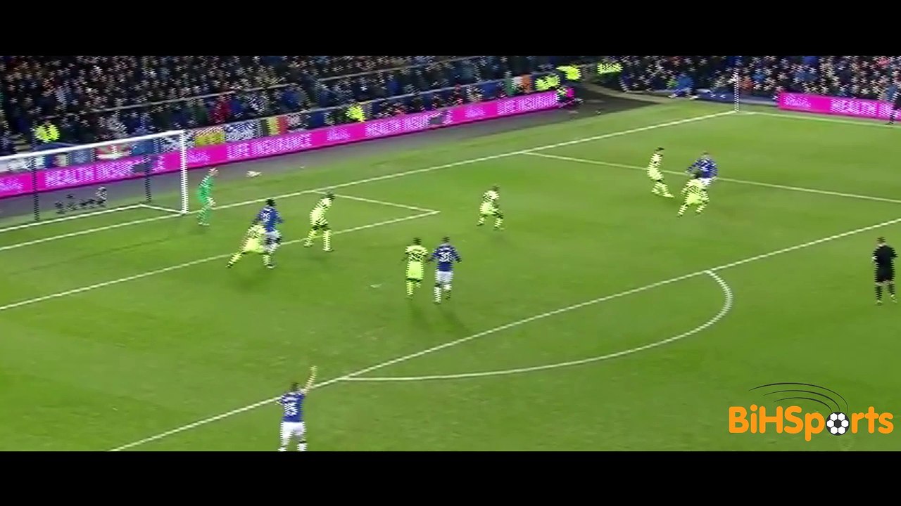 Muhamed Besic vs Manchester City | 1.6.2016 | HD