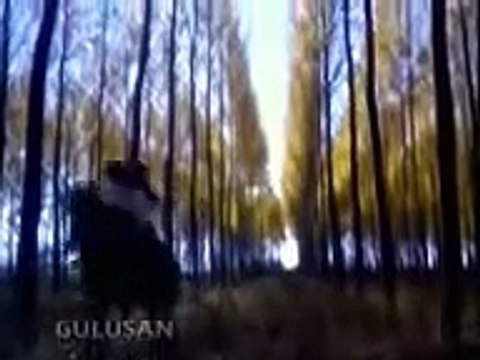 GÜLÜŞAN 1985 FRAGMAN sevisme sahnesi (Televizyon Kanalları FULL HD 720P)