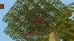 Minecraft Xbox TU31 Mesa Biome Survival Red Sand & Building