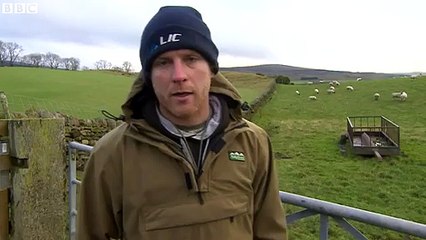 Cumbria farmer: 'I lost 160 sheep in the flood'