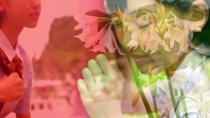 e-Hello! 飯窪春菜 DVD 『Greeting ～飯窪春菜～』 ダイジェスト