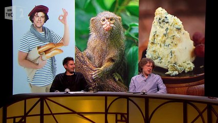 What do Marmosets have in common with cheese? - QI: Series M Episode 7 Preview - BBC Two