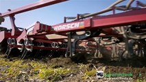 JOHN DEERE 8360RT Tractor | Seeding oilseed rape | Traktor | Horsch Sämaschine