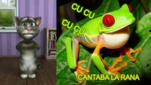 CUCU CUCU CANTABA LA RANA - Canciones Infantiles - BaybyKids