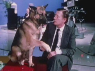 "30 millions d’amis" à 40 ans