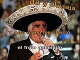 GORRION - VICENTE FERNANDEZ - KARAOKE - PISTA Y LETRA