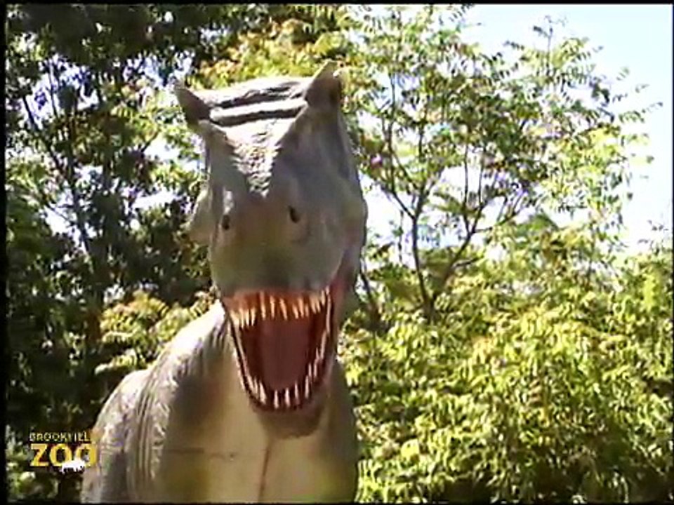 Howling Wolves Forests Are Important - Polar Bears International Hudson Polar Bear 2 at Brookfield Zoo Mesozoic Idol Pteranodon (Week 8)