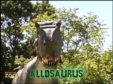 Mesozoic Idol Allosaurus - Week 4 Howling Wolves Forests Are Important - Polar Bears International Hudson Polar Bear 2 at Brookfield Zoo