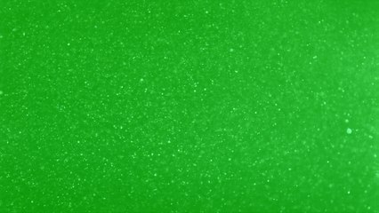 Green Screen Rain Drizzle Effect