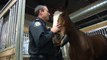 Bond between horse and mounted officer goes deep