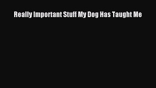 Really Important Stuff My Dog Has Taught Me [Read] Full Ebook