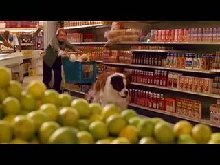 Beethoven's 5th - Official Trailer