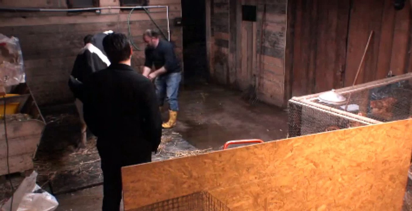 Semih:Kurretülayn Çok iyi abi. Murat abi:Evet çok iyi,nazar değmesin