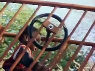 Losing Isaiah Trailer