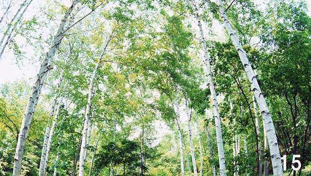 【3H】ソフトなポップスなど・Soft Pops etc.（長時間作業用BGM)