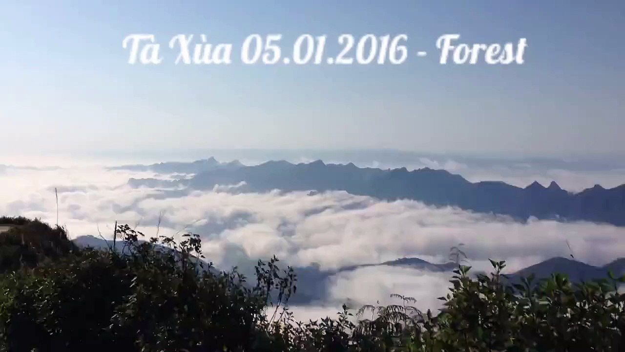 [Element Cams] - [VietNam beautiful sight] - Part 8: Tà Xùa - Đại Dương mây