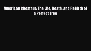 PDF Download American Chestnut: The Life Death and Rebirth of a Perfect Tree Download Online