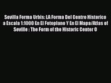 Sevilla Forma Urbis: LA Forma Del Centro Historico a Escala 1:1000 En El Fotoplano Y En El