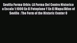 Sevilla Forma Urbis: LA Forma Del Centro Historico a Escala 1:1000 En El Fotoplano Y En El