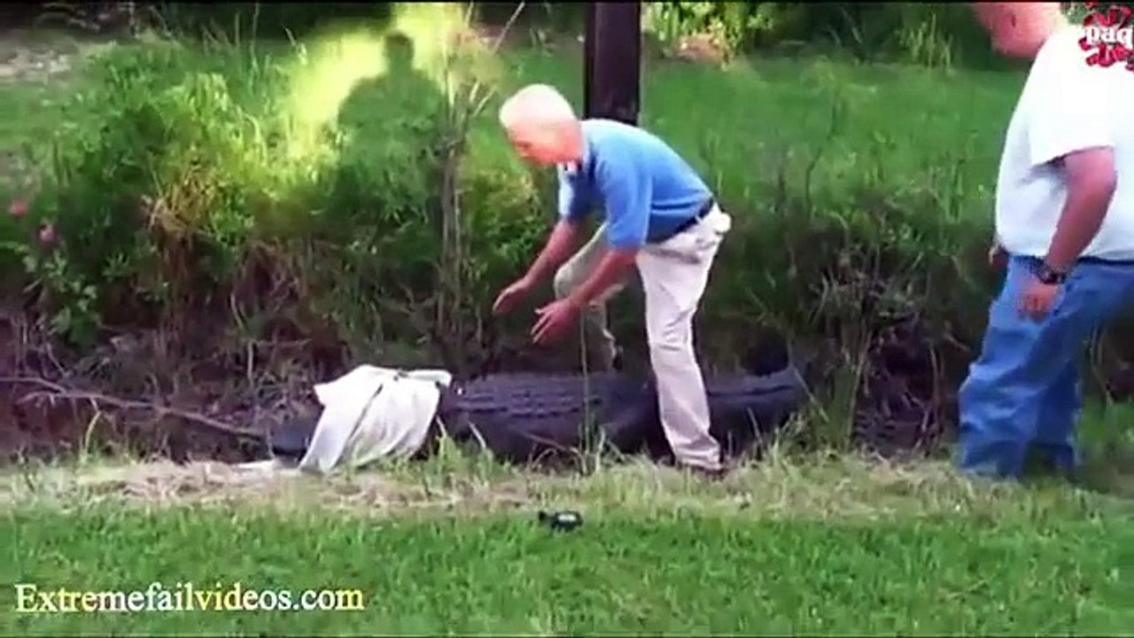 Crazy Animals ATTACK