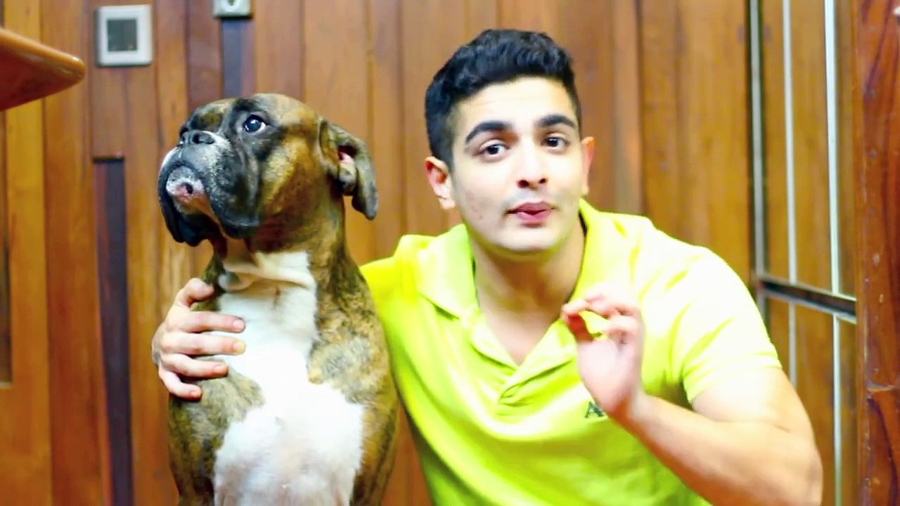 HEALTHY Paneer Recipes  - Paneer Cheese Kabab - HIGH PROTEIN Vegetarian recipes ( INDIAN )