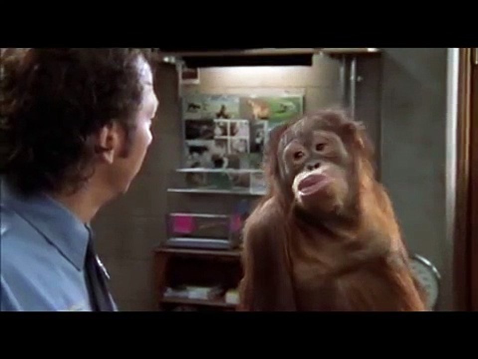 a very funny scene from the animal
