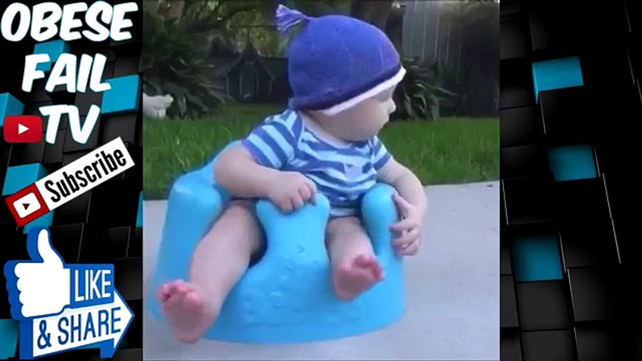 ANIMALS ARE AMAZING Vine Compilation Funny Animal Videos Compilation