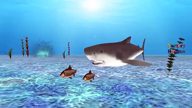 Finger Family Children Nursery Rhymes for Preschool Sharks Cartoon | Finger Family Rhymes for Babie