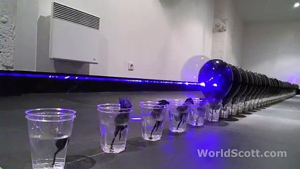 laser ultra puissant qui brule 5000mw