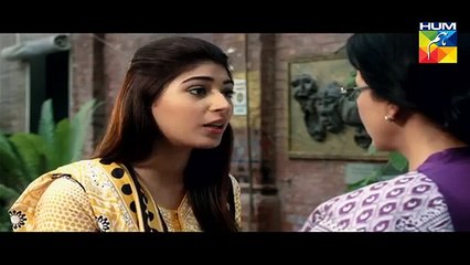 Sangat Episode 19 Full HUM TV Drama 24 Dec 2015