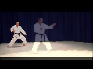 Shotokan Karate Syllabus First Belt