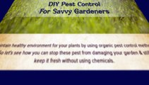 Organic DIY Pest Control For Gardens– Mosquito Repellent