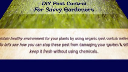 Organic DIY Pest Control For Gardens– Mosquito Repellent