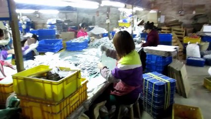 Kitchen Cabinet Hardware & Kitchen Furniture Hardware - China: Premium Gas Spring / Production 5