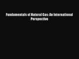 PDF Download Fundamentals of Natural Gas: An International Perspective PDF Online