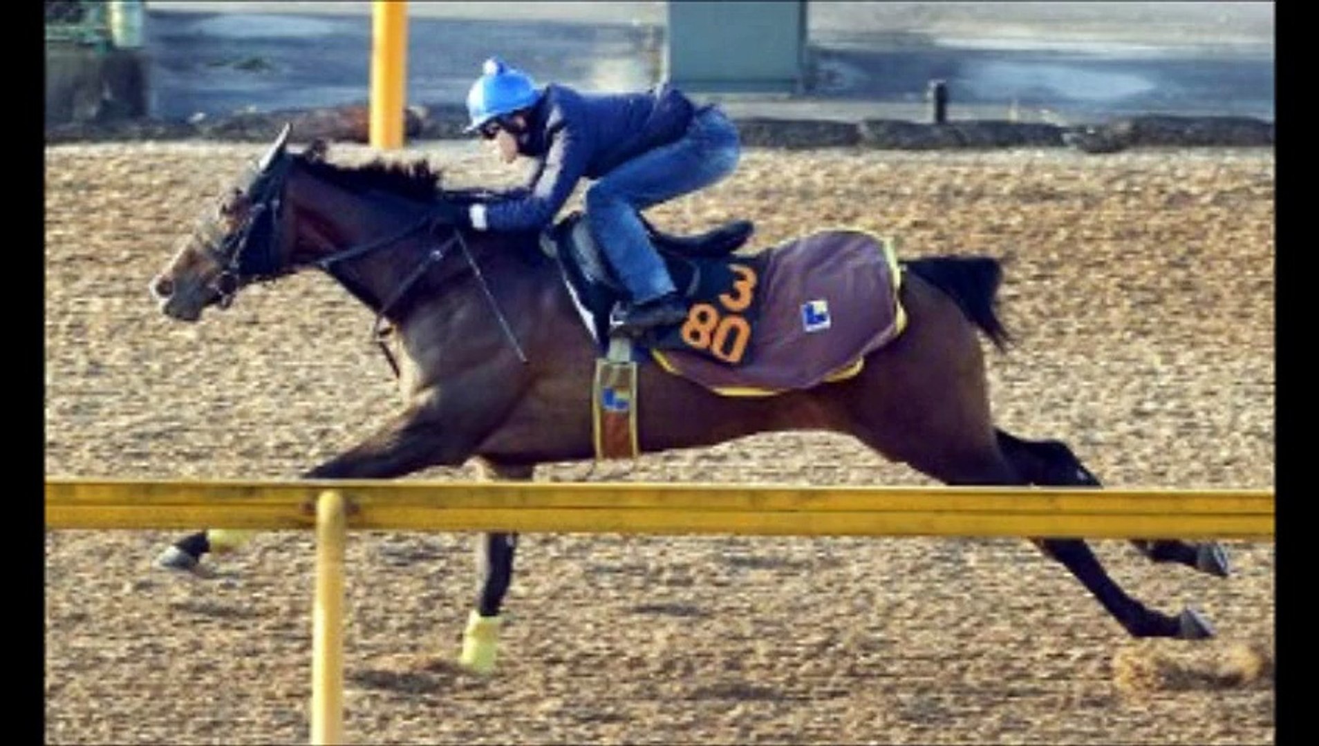 フェアリーステークス(GIII) クードラパン、素軽い動きで反撃態勢整った！ 「競馬レース結果ハイライト」2016年