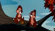 DONALD DUCK CARTOONS !!! DONALD DUCK & Chip an` Dale CARTOON EPISODES FULL COMPILATION 2015 [HD]_59