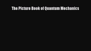 PDF Download The Picture Book of Quantum Mechanics Read Online