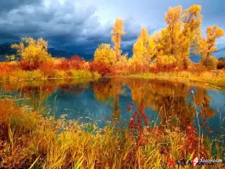 Русская природа